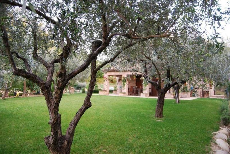 Bed & Breakfast La Casa Delle Rondini image