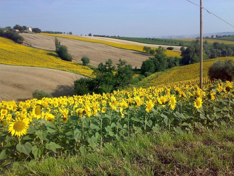 Bed & Breakfast La Casa Delle Rondini image