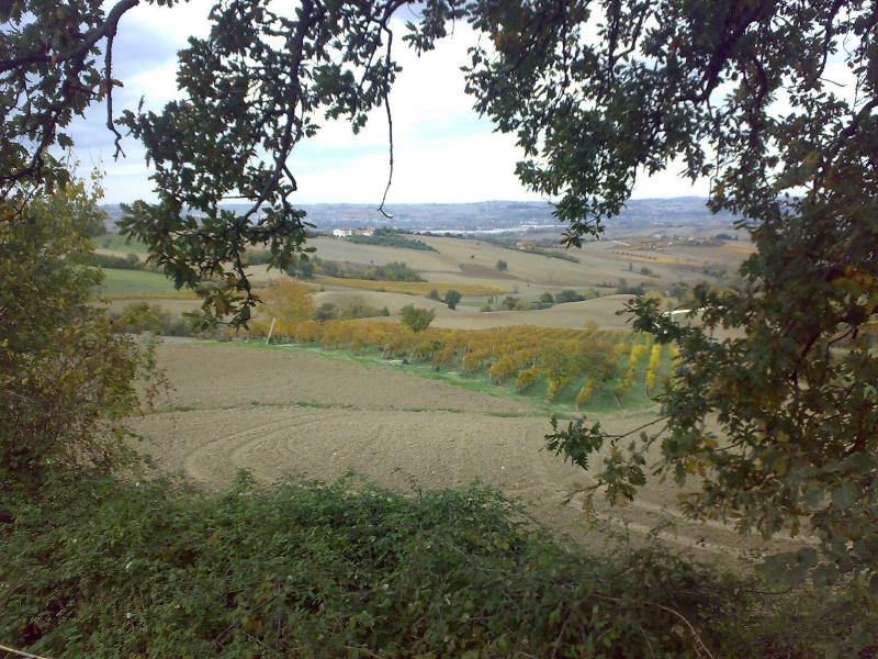 Bed & Breakfast La Casa Delle Rondini image