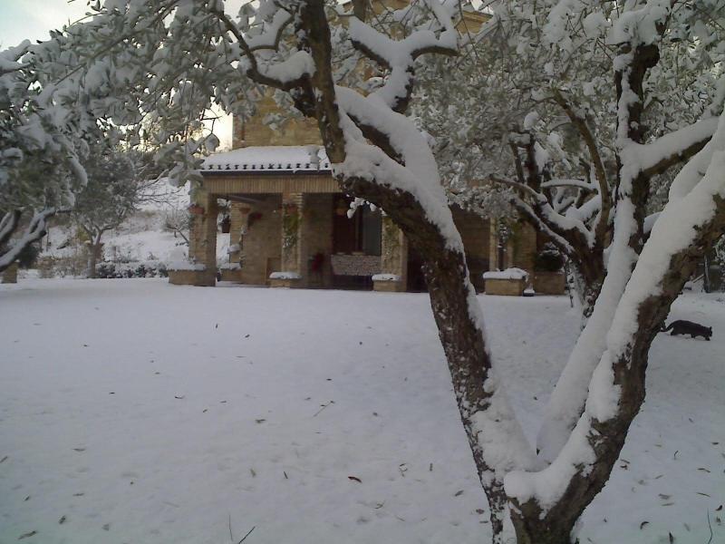 Bed & Breakfast La Casa Delle Rondini image