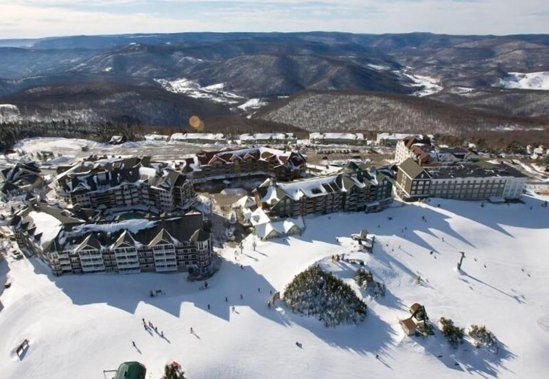 Allegheny Springs