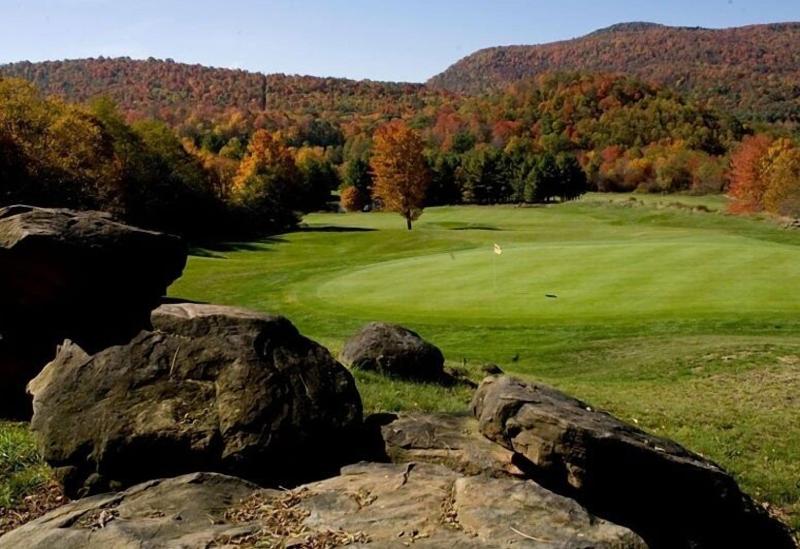 Allegheny Springs