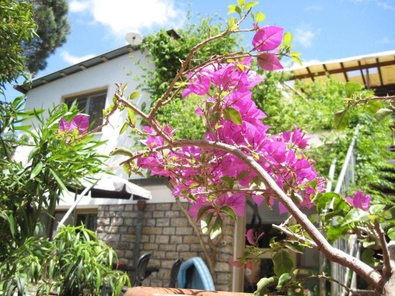 Casa Furrer image