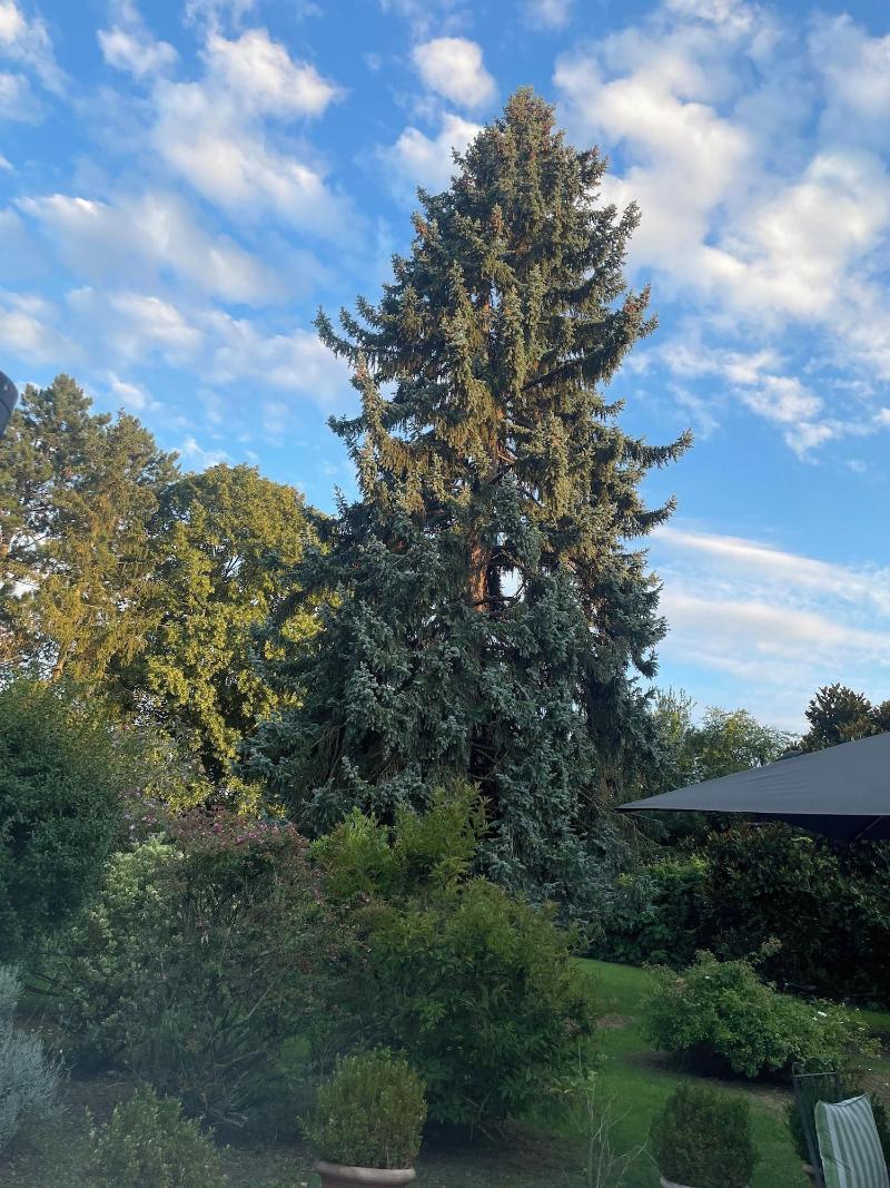Glycines Country Guesthouse image