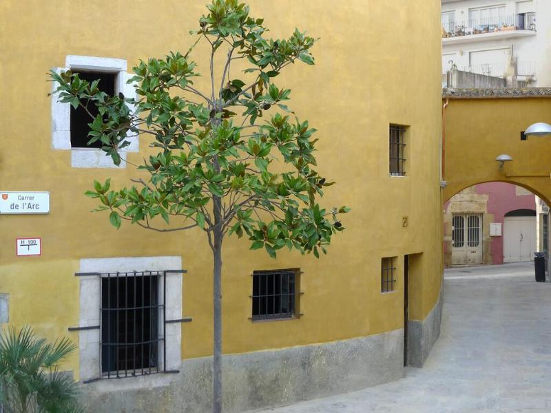 Can Mascort Eco Hotel image