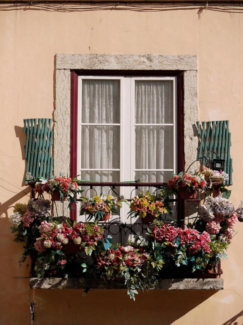 Arroios de Paixao image