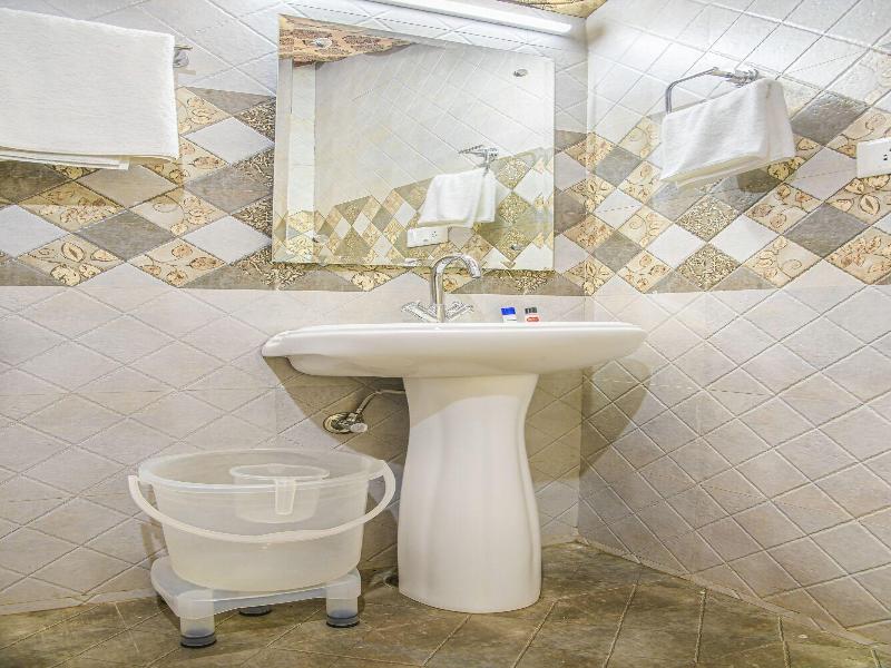 Echor - The Koti Village Resort image