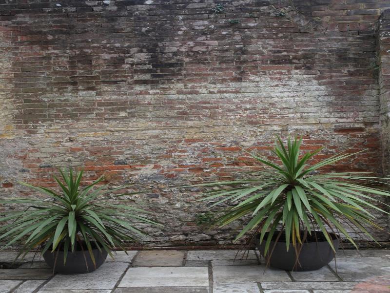 East Walls Hotel image