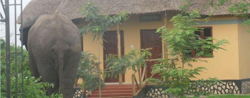 Engiri Game Lodge and Campsite image