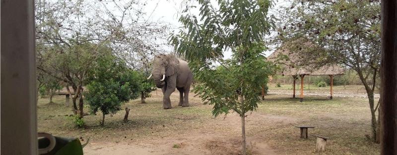 Engiri Game Lodge and Campsite image