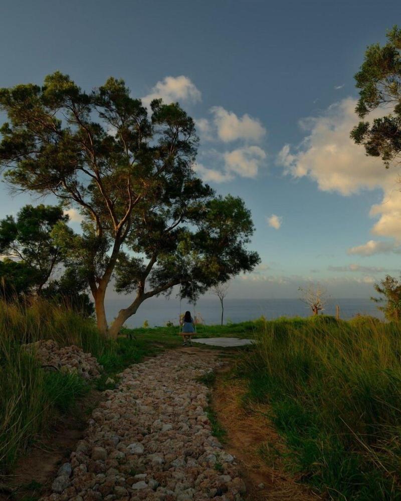 Wandering Walls image
