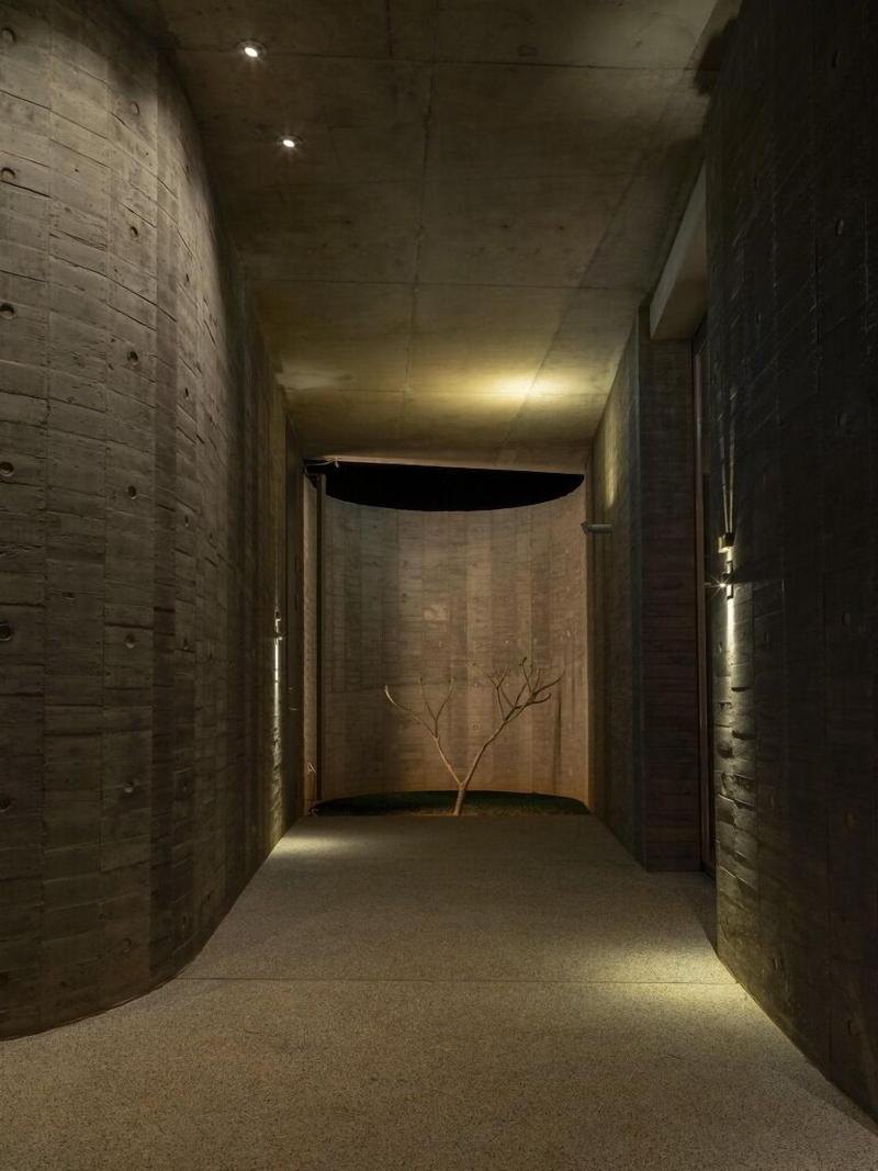 Wandering Walls image