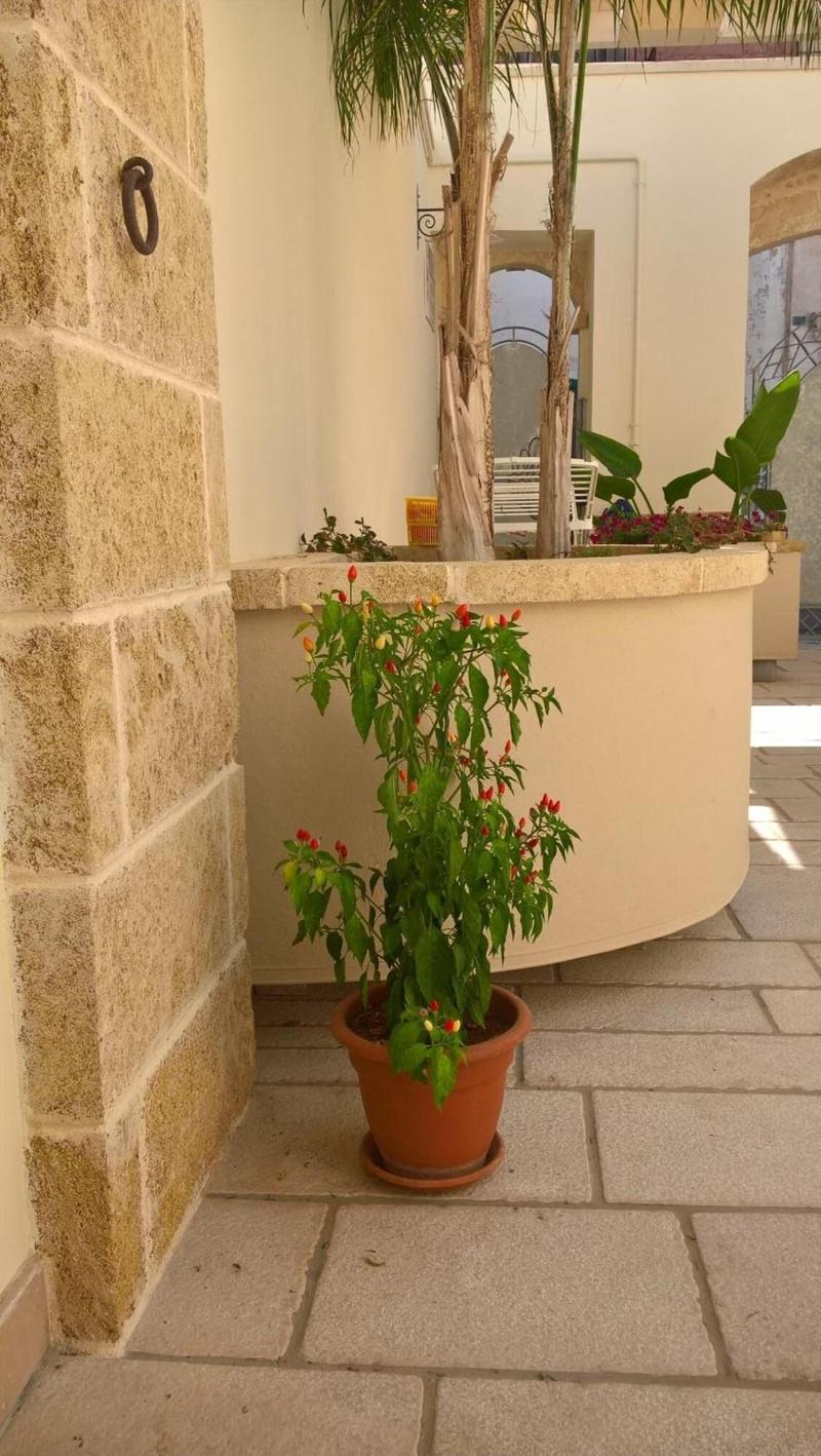 GradiÃ¨ image