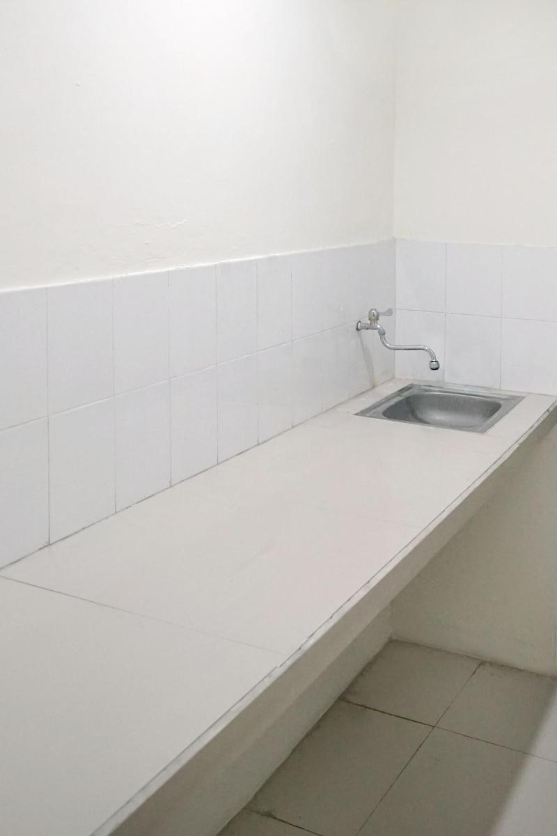 Dparagon Pamela 4 image