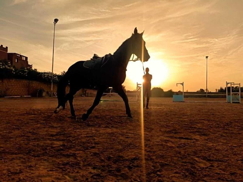 Equi Palace & Spa image