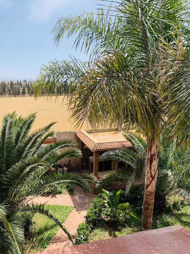 Equi Palace & Spa image
