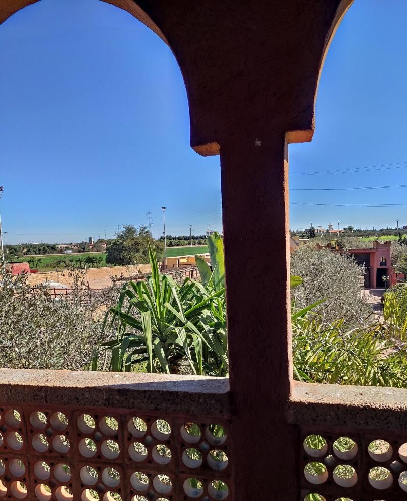 Equi Palace & Spa image