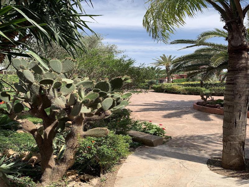 Equi Palace & Spa image