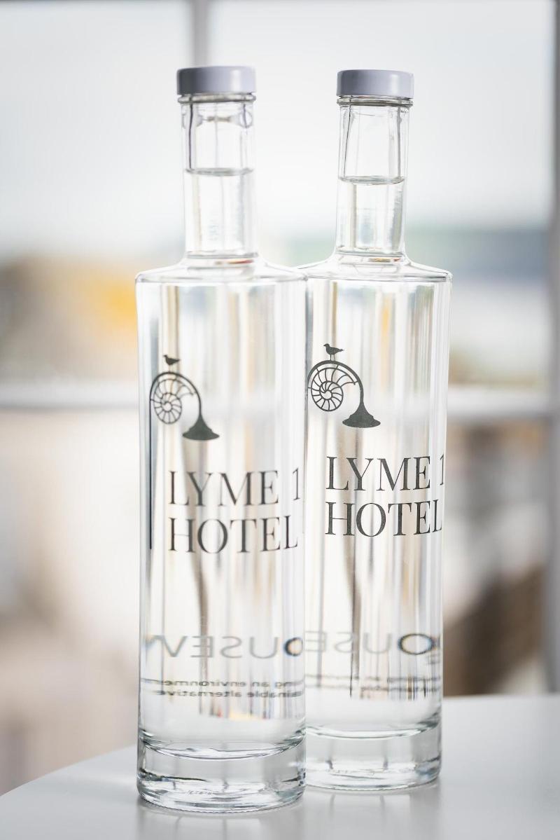 Lyme 1 Hotel image