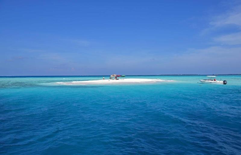Veli Vilaa image