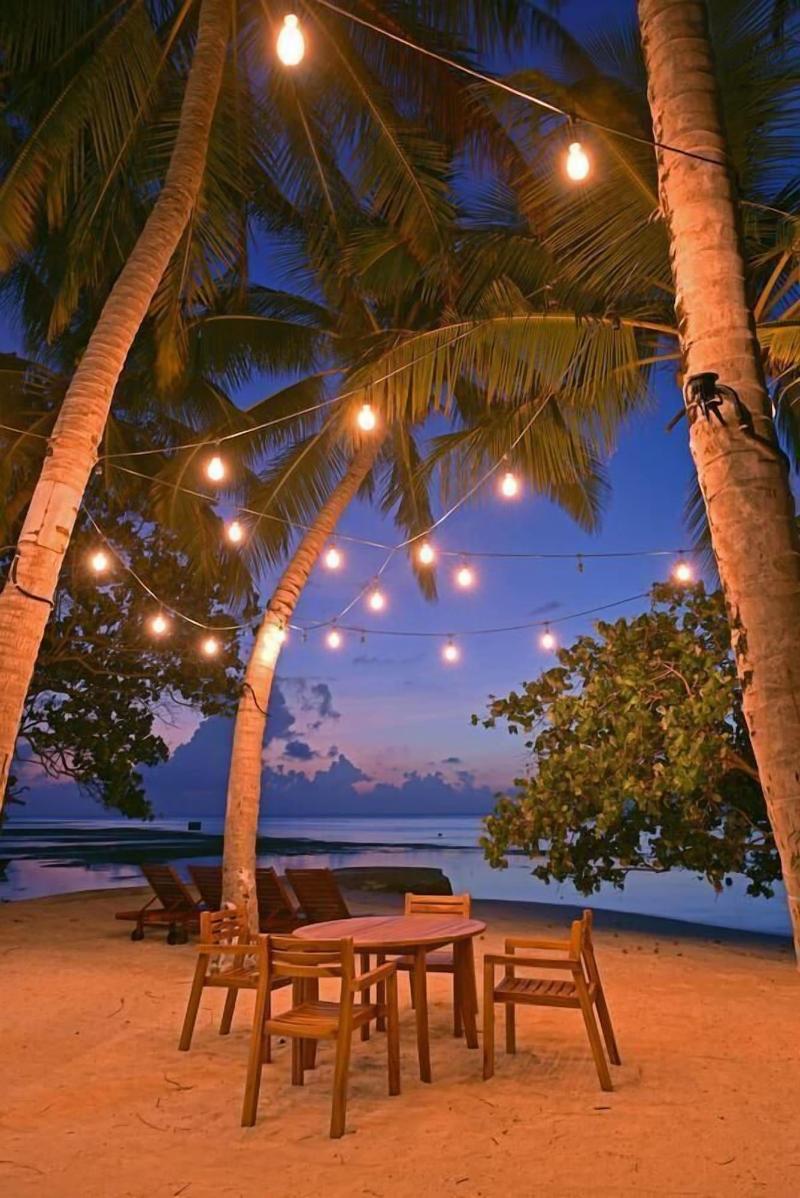 Veli Vilaa image