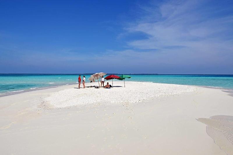 Veli Vilaa image