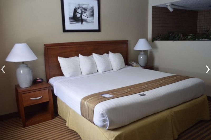 Eleven Boutique Hotel image