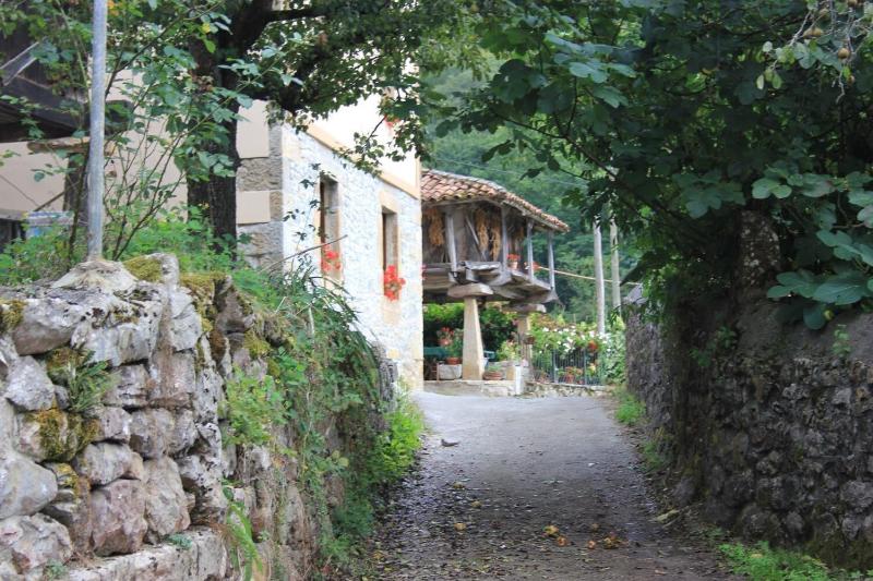 El Colladin image