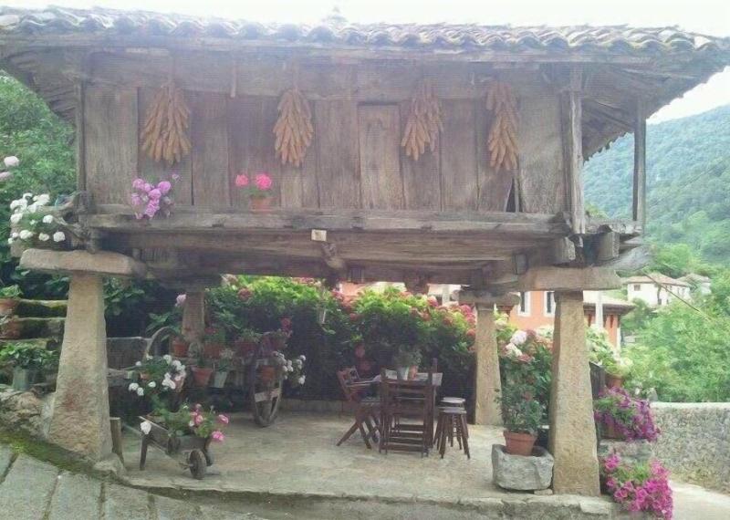 El Colladin image