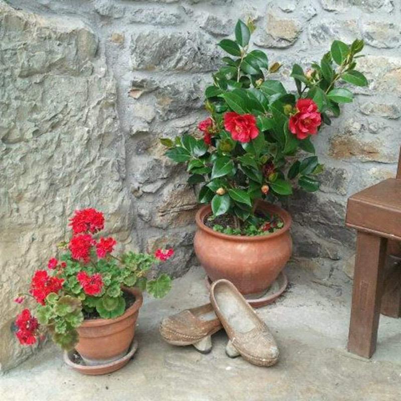 El Colladin image
