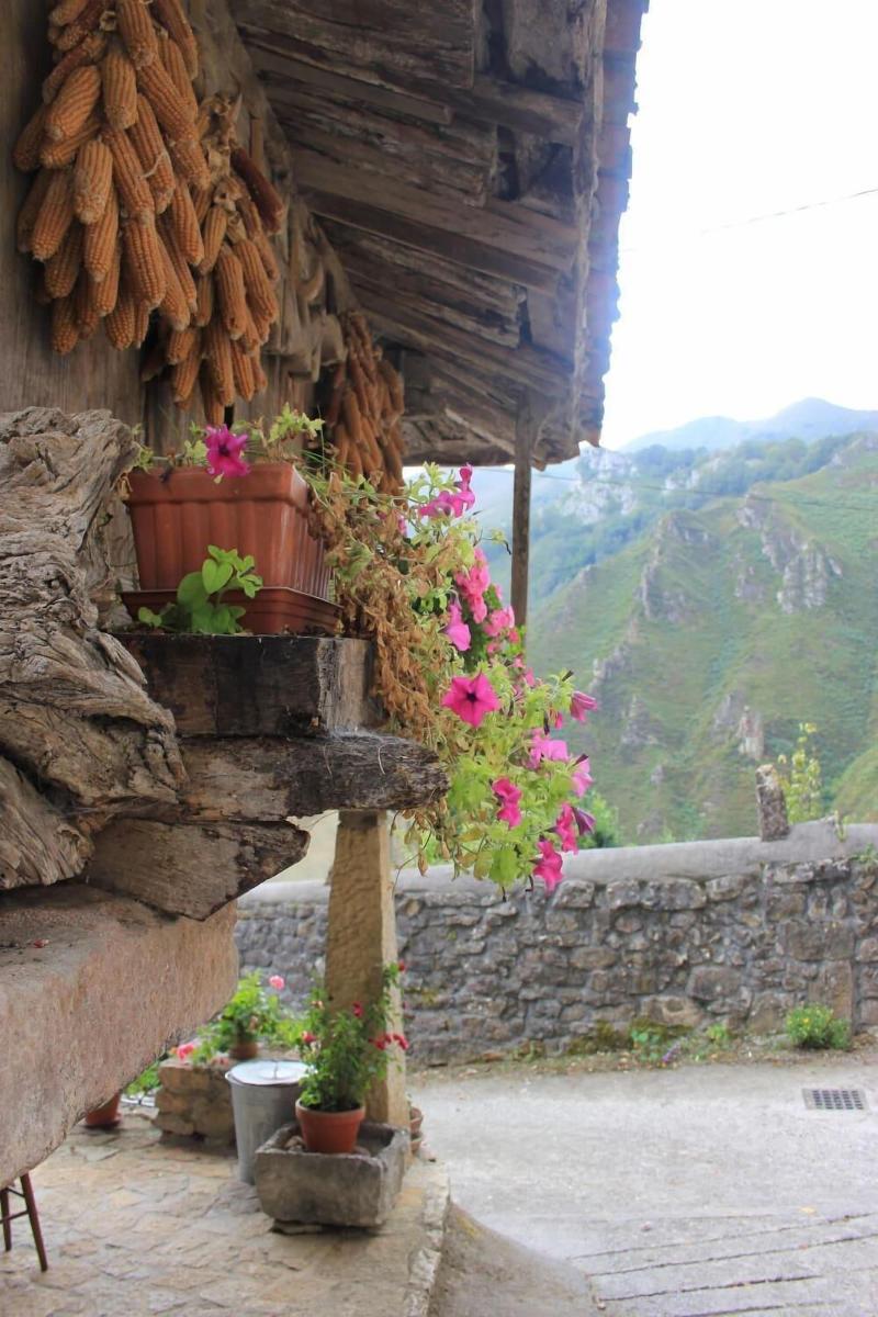 El Colladin image