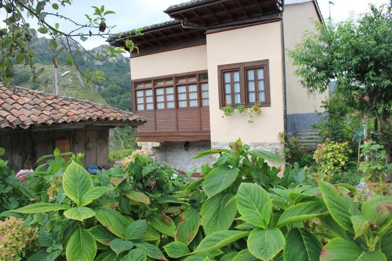 El Colladin image