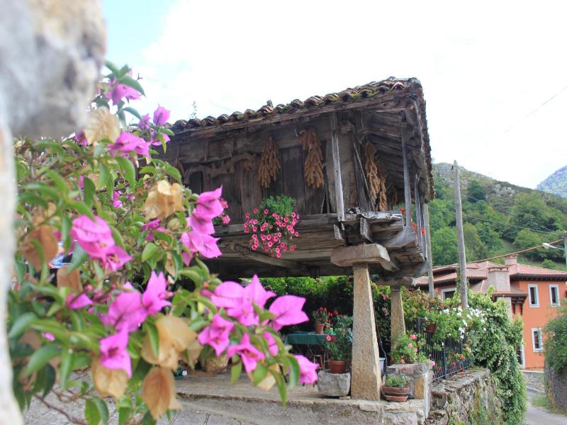 El Colladin image