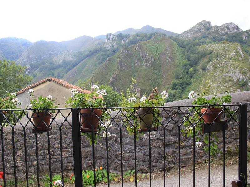 El Colladin image