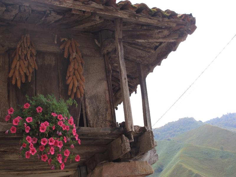 El Colladin image
