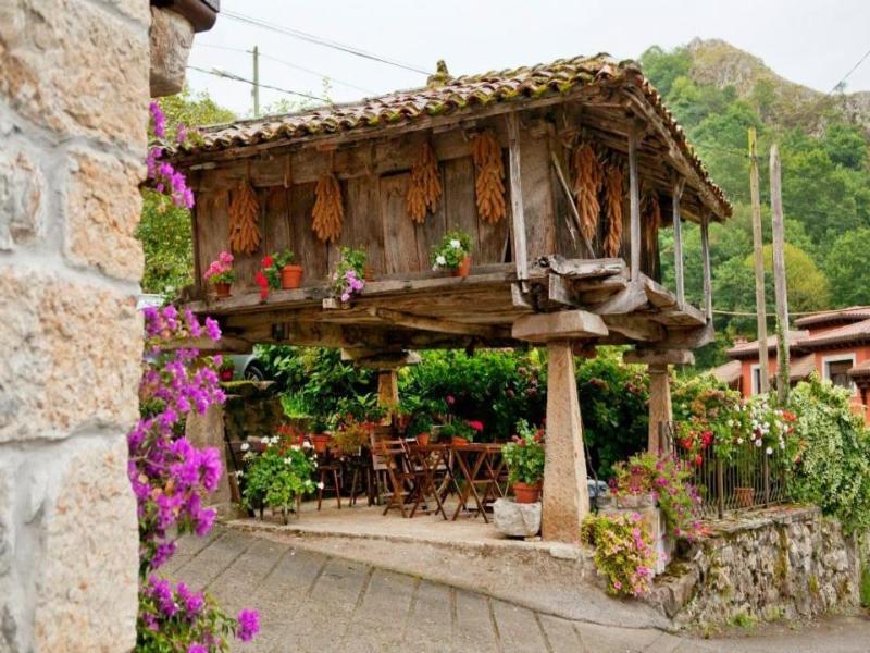 El Colladin image