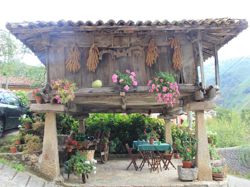 El Colladin image