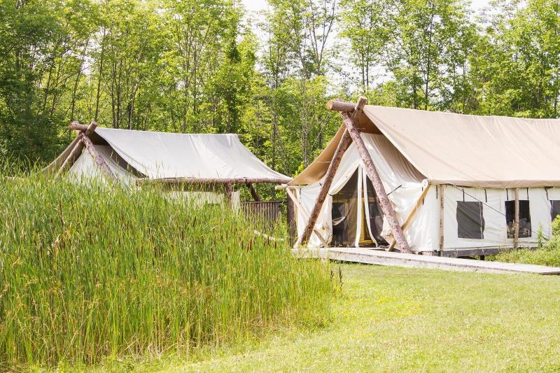 Firelight Camps image