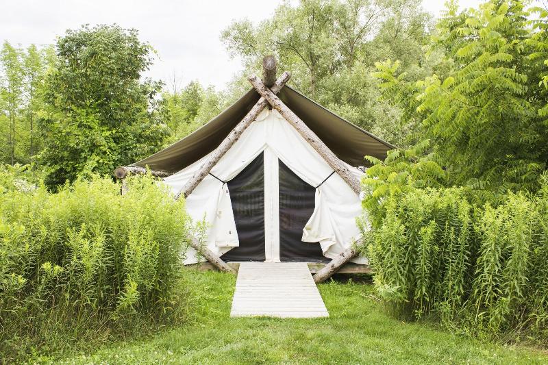 Firelight Camps image