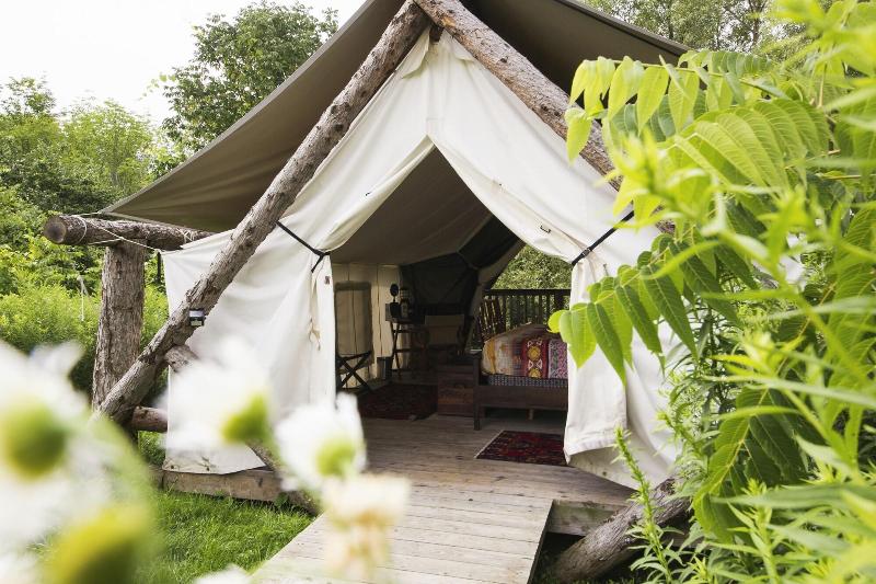 Firelight Camps image