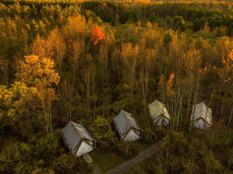 Firelight Camps image
