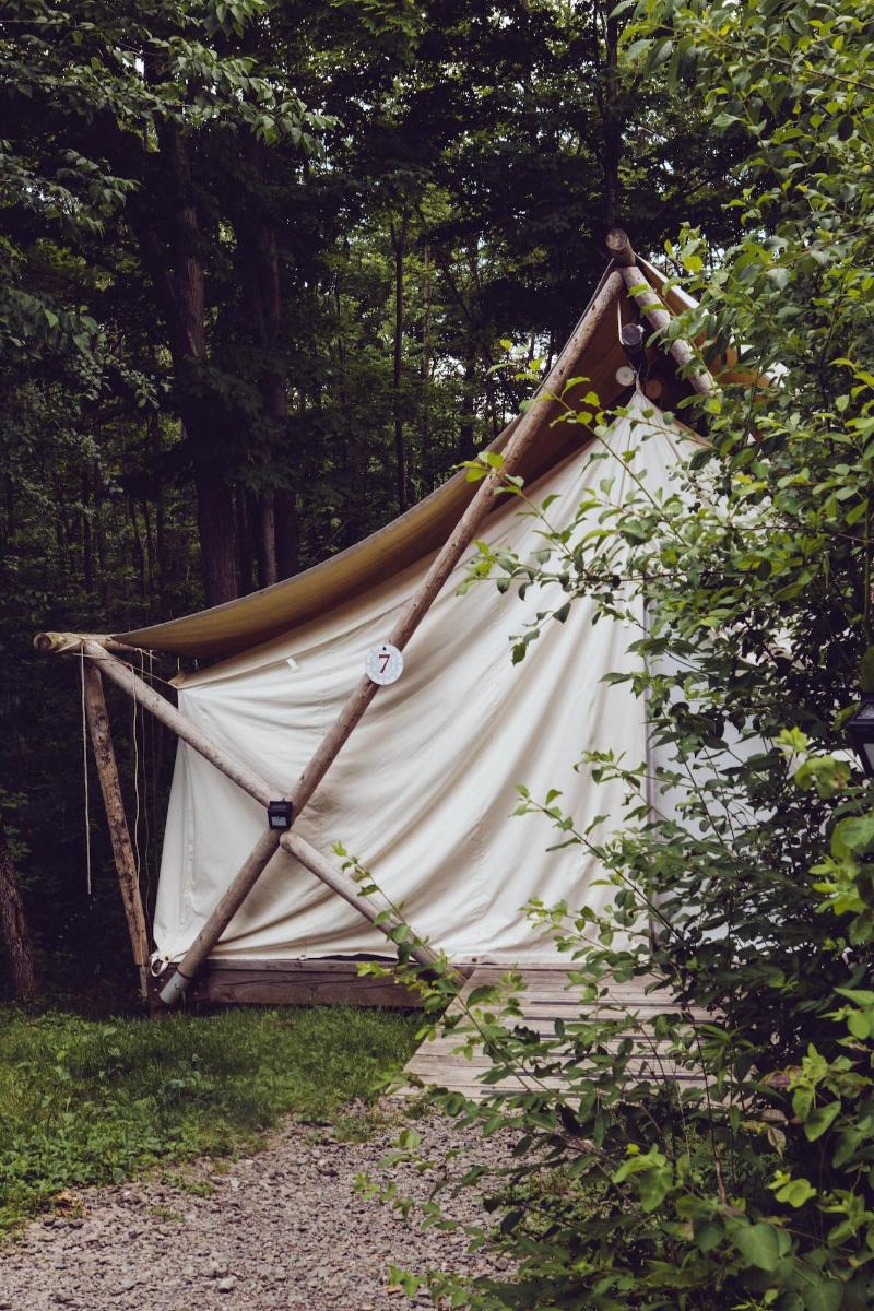 Firelight Camps image