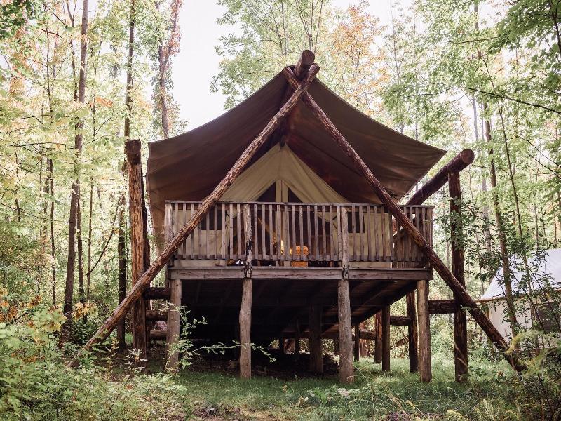 Firelight Camps image