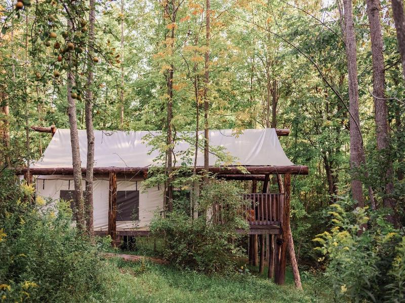 Firelight Camps image
