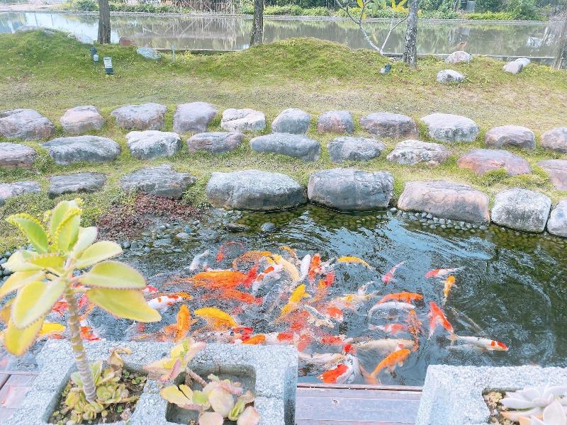Luoyuxuan image