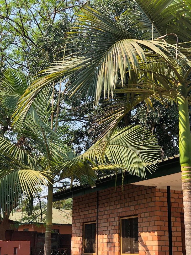 Lifesong Lodge image