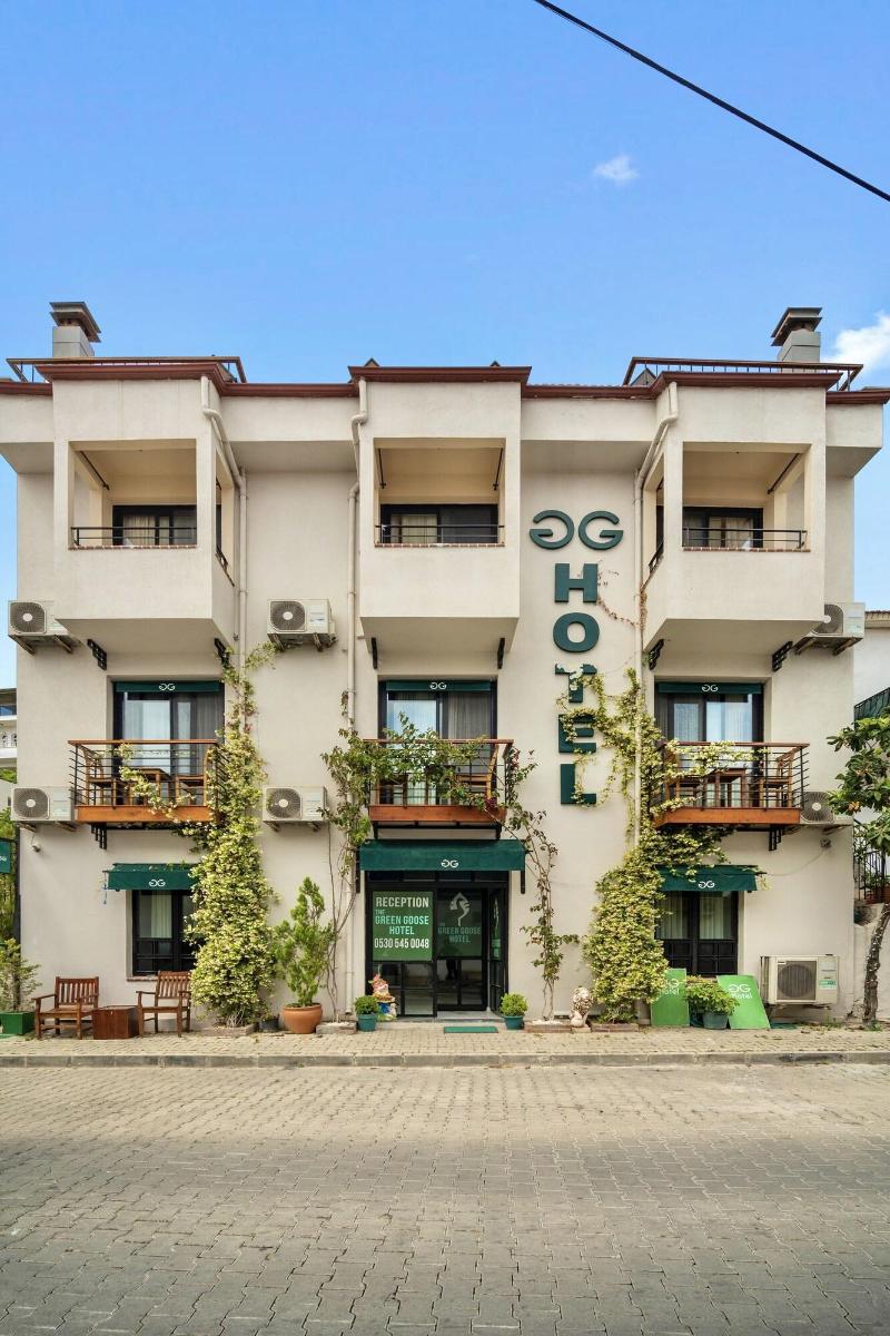 The Green Goose Hotel image