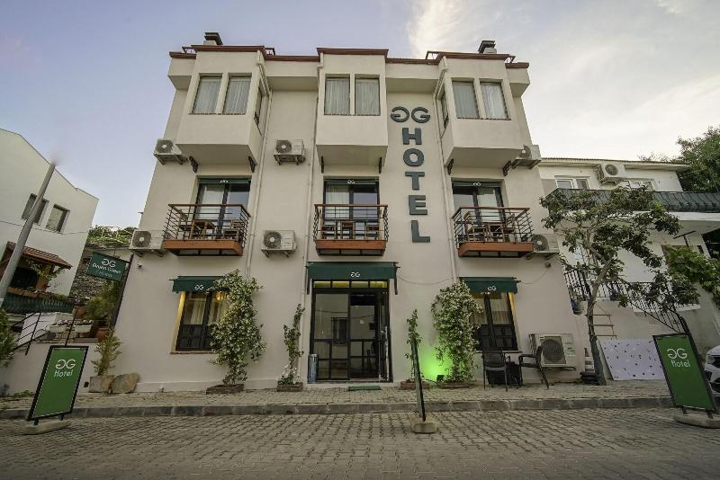 The Green Goose Hotel image
