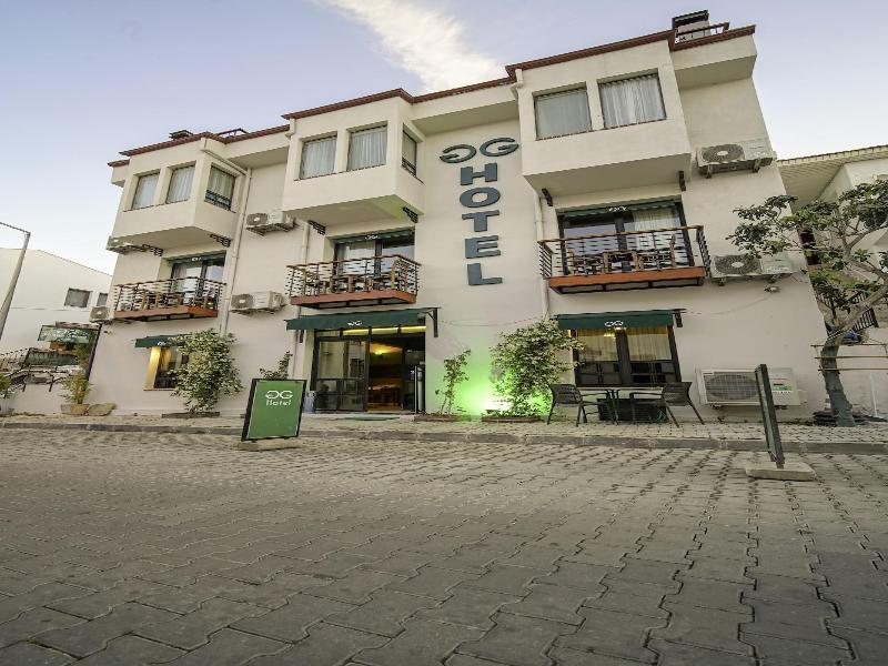 The Green Goose Hotel image