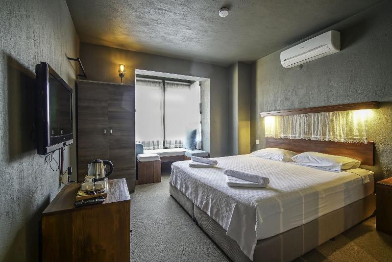 The Green Goose Hotel image